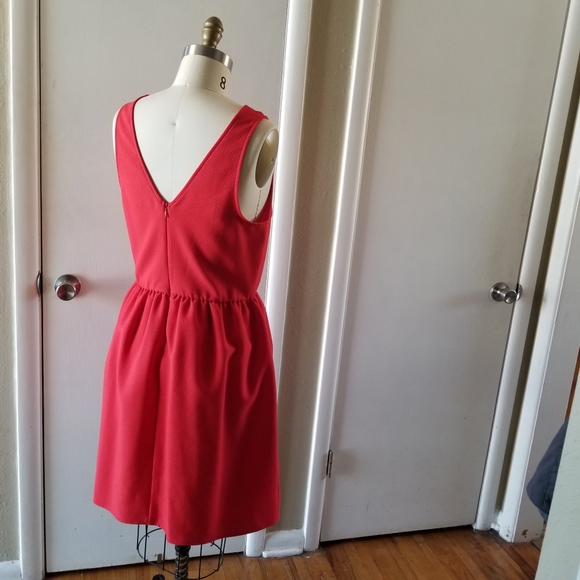 Scalloped V-Neck knee-length Dress - Picture 4 of 7